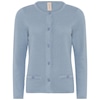 Dove Blue